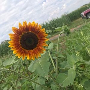 Meet your Posher, Brittany